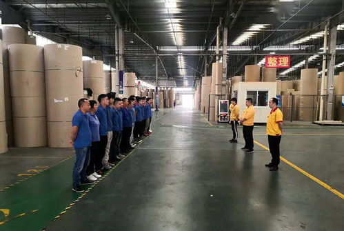 花園建材榮膺東陽市中小企業市長科技創新獎，引領行業綠色轉型新篇章